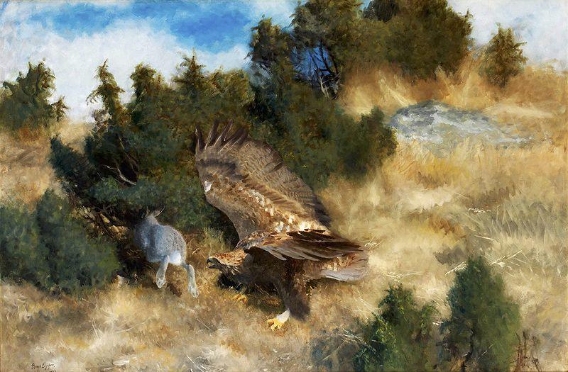 bruno liljefors orn jagande hare oil painting picture